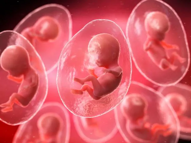 IVF Treatment